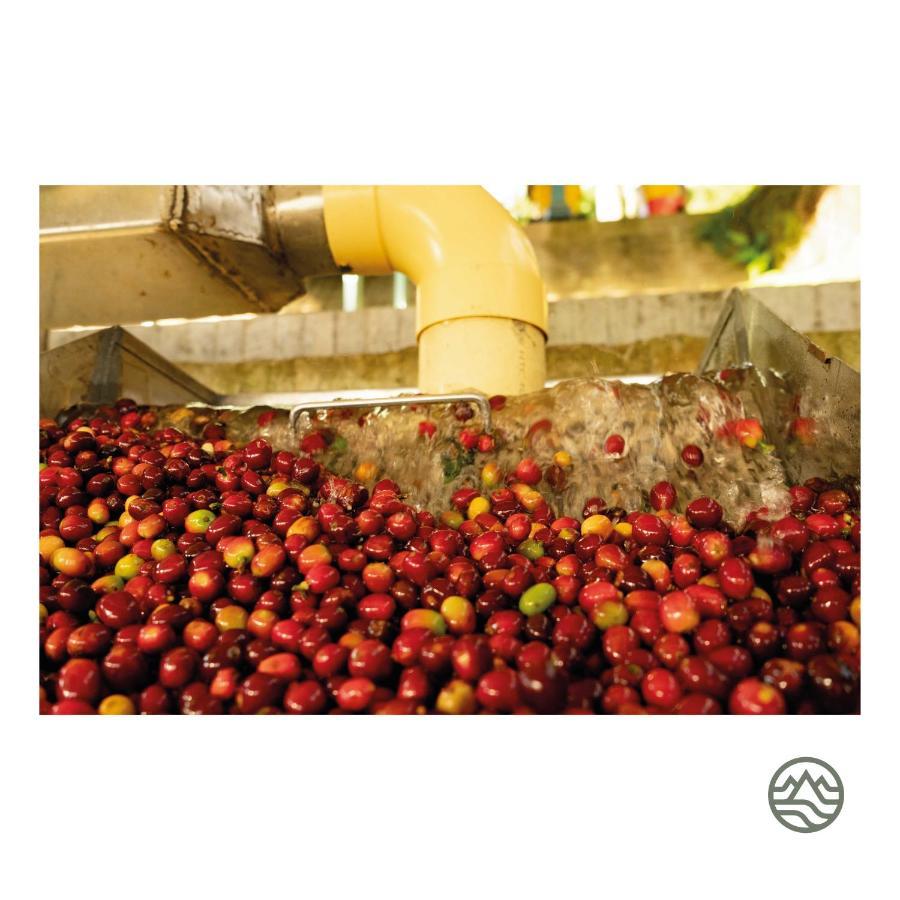 Calarcá El Fenix Coffee酒店 外观 照片